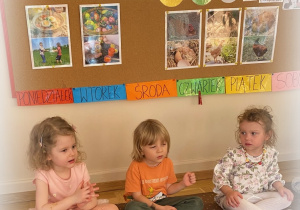 Zdjęcie 9 na 18