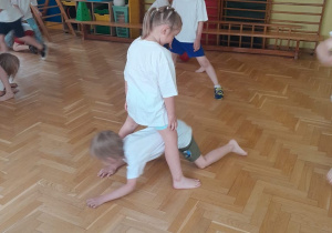Zdjęcie 12 na 12