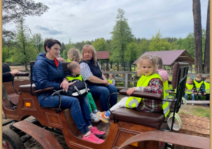 Zdjęcie 15 na 18