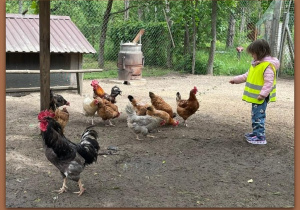 Zdjęcie 23 na 26