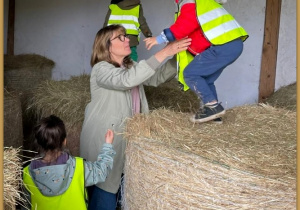 Zdjęcie 40 na 43