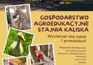Zdjęcie 1 na 1