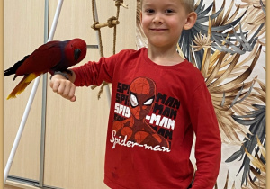 Zdjęcie 11 na 30