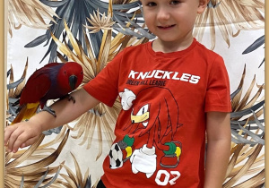 Zdjęcie 16 na 30