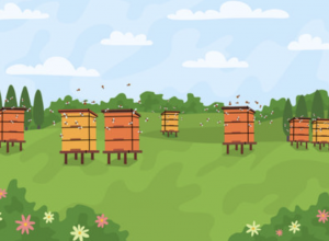 Wycieczka autokarowa do Osady Borki