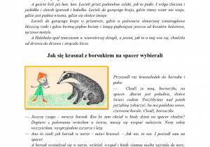 Zdjęcie 24 na 33