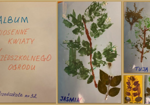 Zdjęcie 10 na 10