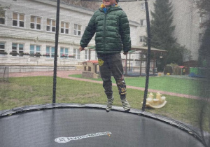 Zdjęcie 5 na 5