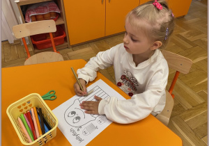 Zdjęcie 6 na 29